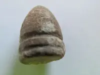 .45  bullet 001.webp