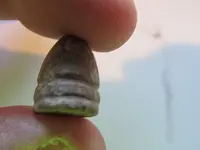 .45  bullet 002.webp