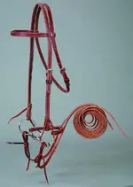1 Bridle.webp 1 Bridle.webp