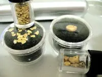 gold 012.webp