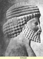 persian.webp