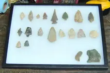 Arrowhead Collection.webp