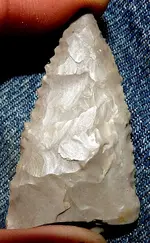 100_1455.webp