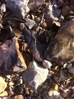 image-3848399030.webp