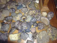 image-2764746405.webp