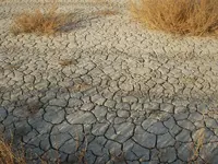 peo-tb-salt-crust.webp