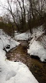 Creek in snow 2-2014.webp