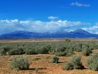 vantage point 1.webp