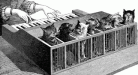 catpiano.gif catpiano.gif