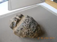 meteor 001.webp