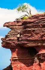 He Went That Way.webp