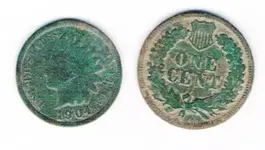 Indian Penny.webp