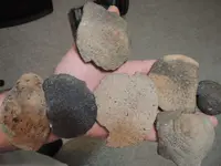 DSCN0161.webp