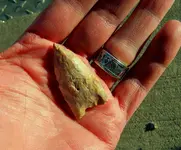 arrowhead 3aa.webp
