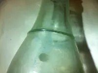 ring neck ring.webp
