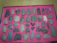 DSCN2644.webp