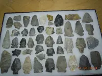DSCN2647.webp
