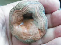 DSCF6706.webp