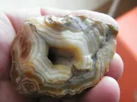 DSCF6707.webp