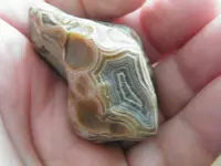 DSCF6709.webp