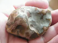 DSCF6710.webp