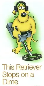 dogs1.webp