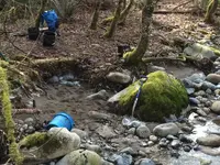 image-1555467864.webp