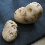 PatatoSized.webp