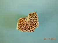 DSCN5970.webp