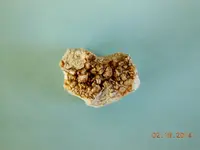 DSCN5971.webp