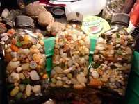SAM_0601.webp