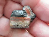 DSCF6713.webp