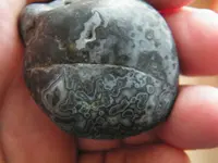 DSCF6712.webp