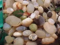 SAM_0603.webp