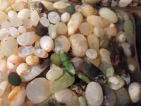 SAM_0604.webp
