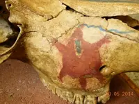 DSCN6528.webp