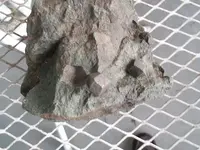 DSCF3387.webp