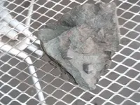 DSCF3388.webp