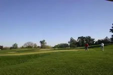 golfing.webp