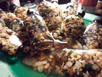 SAM_0606.webp