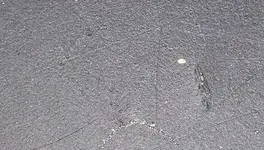 2014-03-18 09.27.35.webp