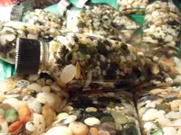SAM_0607.webp SAM_0607.webp