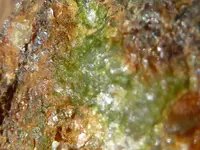 rocks 3-18 008.webp