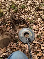 image-4002676358.webp