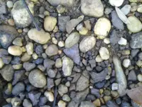 1216131502.webp