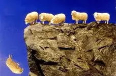 sheep.webp