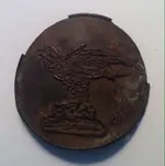 Hawk Lid.webp