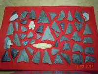 DSCN2642.webp