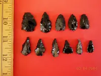 DSCN6756.webp