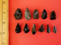 DSCN6758.webp